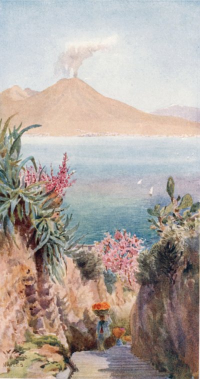 Posillipo. The Bay of Naples by William Wiehe Collins