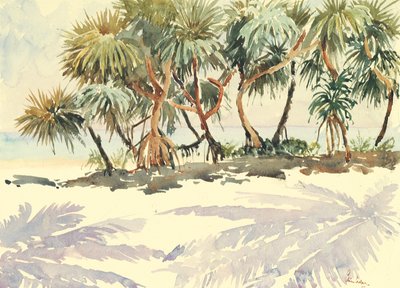 Straw trees, Bentota by Wilson Clive