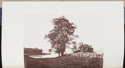 Locust Trees on the Banks of Bass River in Beverly by Wilson Flagg