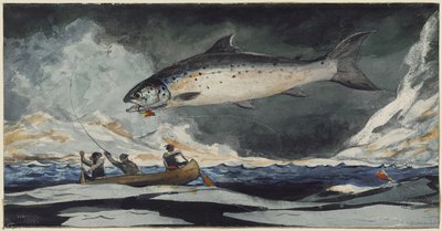A Good Pool, Saguenay River by Winslow Homer