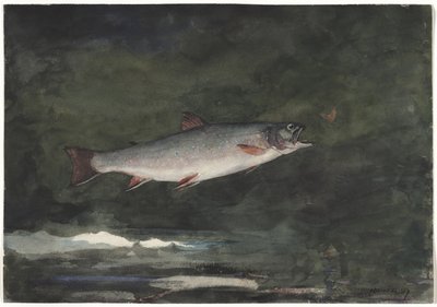 Leaping Trout by Winslow Homer