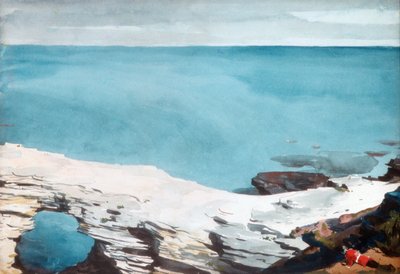 Natural Bridge, Bermuda by Winslow Homer