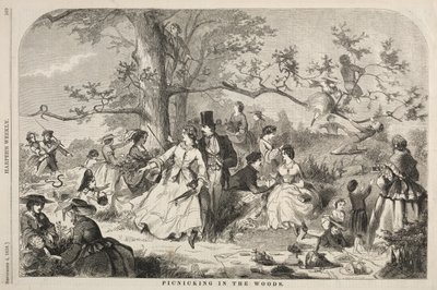 Picnicking in the Woods by Winslow Homer