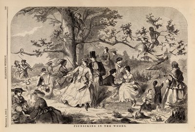 Picnicking in the Woods by Winslow Homer