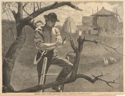 Spring Farm Work by Winslow Homer