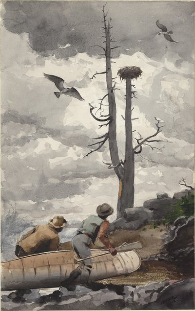 The Eagle