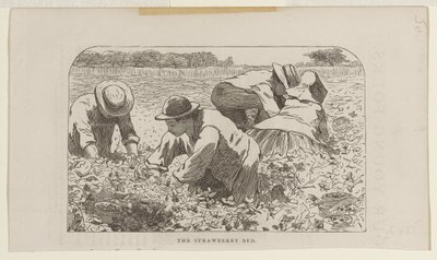 The Strawberry Bed by Winslow Homer