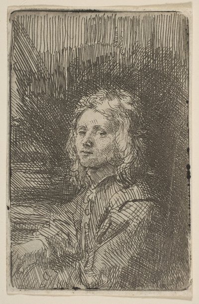 Young Man, Half-Length, 1620-69 by Workshop of Rembrandt