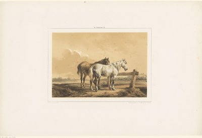 Two horses in a meadow by a fence by Wouter  Verschuur