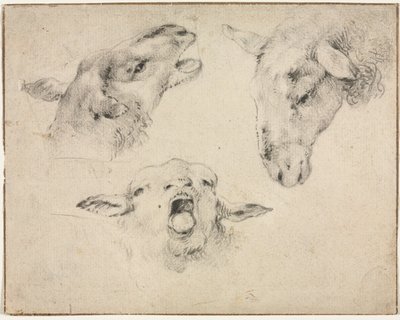 Sheep Heads by Wouterus Verschuur