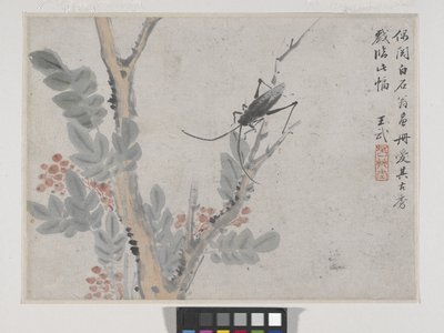Insect and Tree (after Shen Zhou) by Wu Wang
