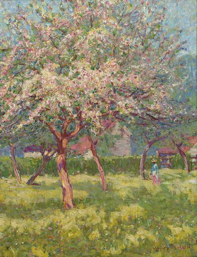 An orchard in bloom by Wynford Dewhurst