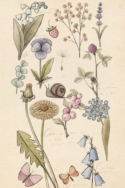 Plant Drawing by Xuan Thai