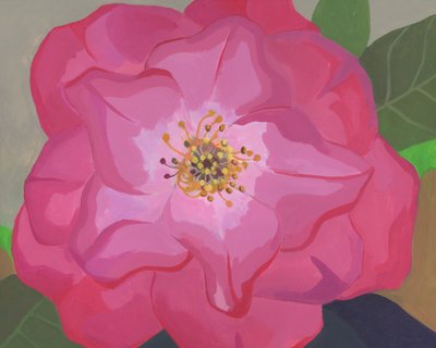 Vibrant Pink Rose by Yvonne Gustafsson
