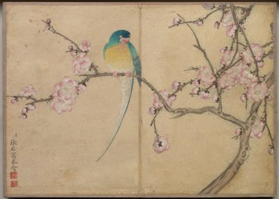 Desk Album: Flower and Bird Paintings (Bird with Plum Blossoms) by Zhang Ruoai