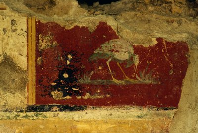 Bird, fresco fragment, Salus Augusta Temple-Cryptoporticus, ancient Roman city of Urbs Salvia, Urbisaglia, Marche, Italy by William Walcutt