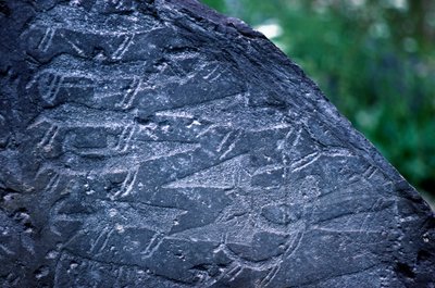 Close-up of Rock Drawings in Naquane National Park by Isabel Redie