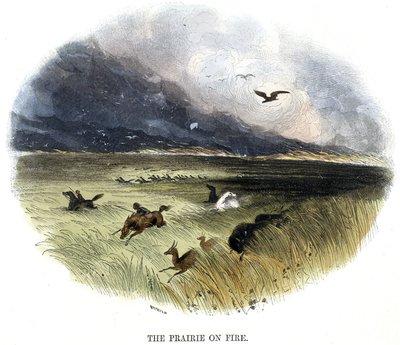 Prairie on Fire by Frederick (attr. to) Barnard