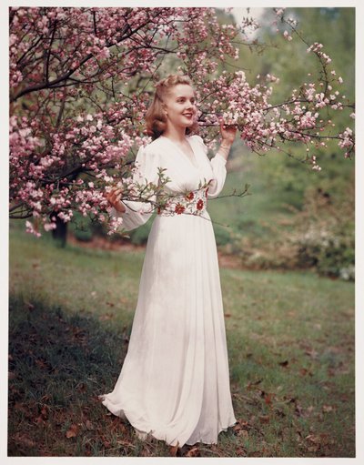 Woman modelling a dress near blossom, c 1940s by Frederick (attr. to) Barnard