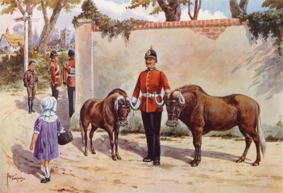 Wildebeests (or White-tailed Gnu), Pets of the South Wales Borderers by after Edgar Alfred Holloway