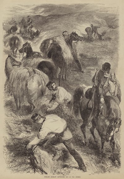 English Cavalry gathering Hay in the Crimea by after Edmond Morin