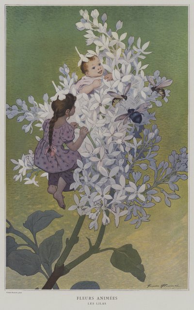 Animated Flowers: Lilacs by after Firmin Bouisset