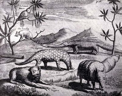 Creatures of the Northern River Plate, as pictured by an early artist, from Nierhoffs Voyages and Travels, from The Romance of the River Plate, Vol. I, by W. H. Koebel, 1914 by after German School
