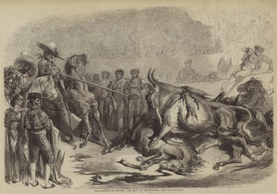 Bull-Fighting at Bayonne, the Blow of the Picadore by Gustave after Dore
