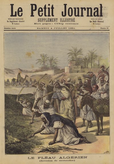 The Algerian Plague by after Henri Meyer