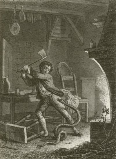 The Villager and the Serpent by after Tony Johannot