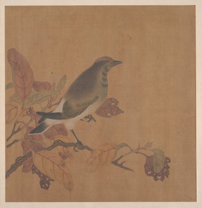 Bird on Branch by anonymous 