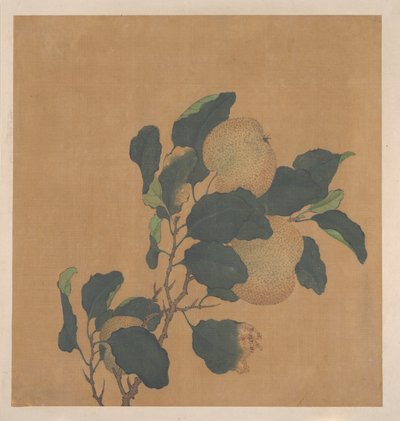 Branch of Tree with Fruit by anonymous 