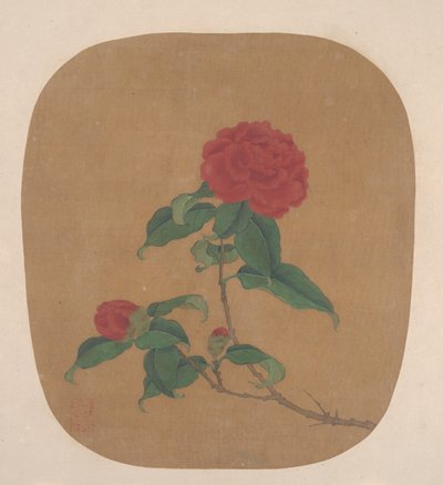 Camellia Flowers by anonymous 