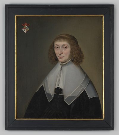 Portrait of an Unknown Woman by anonymous 