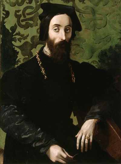 Portrait of a Musician by anonymous 