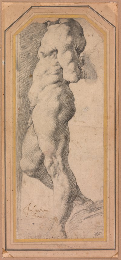 Study of a Standing Male Nude by called Cavaliere d