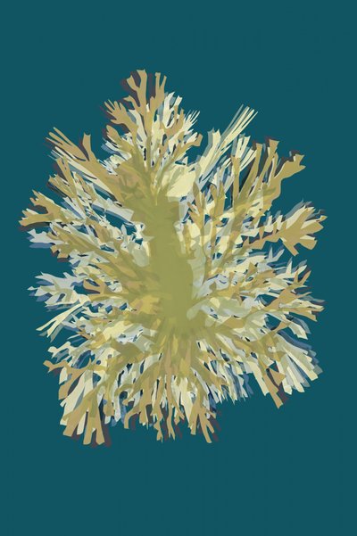 Abstract Coral Growth by cartissi