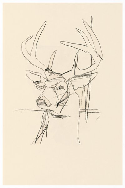 Abstract Deer Sketch by cartissi