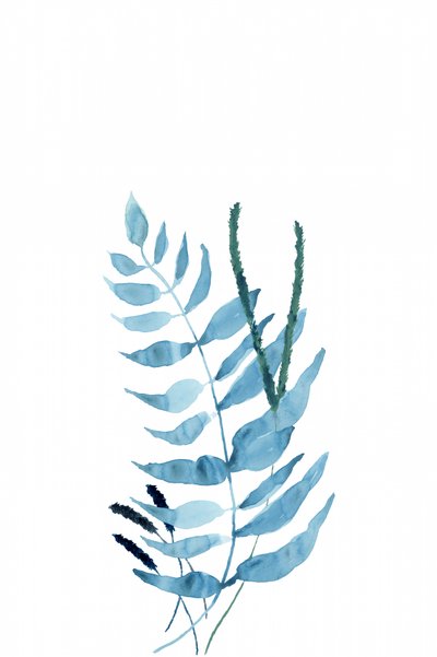 Blue Watercolor Ferns by cartissi