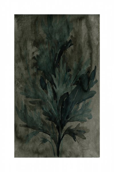Deep Green Foliage by cartissi