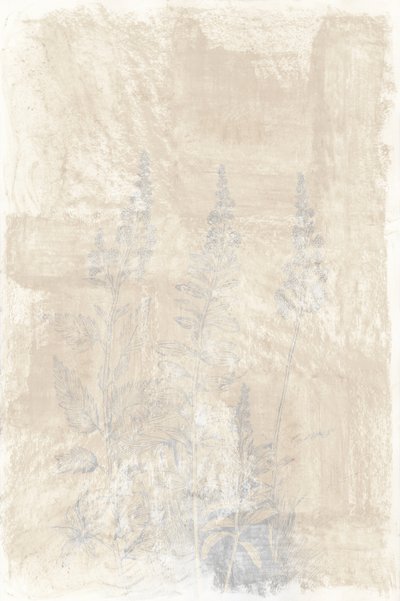 Faded Botanical Sketches by cartissi