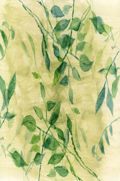 Gentle Botanical Flow by cartissi