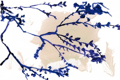 Indigo Spring Branches by cartissi