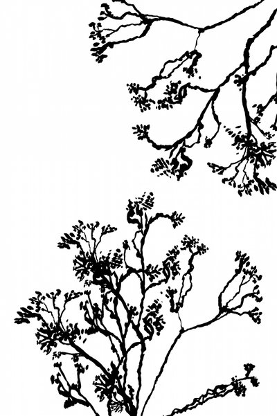 Minimalist Ink Branches by cartissi