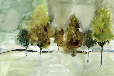 Misty Green Trees by cartissi
