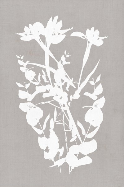 Modern Botanical Silhouettes by cartissi