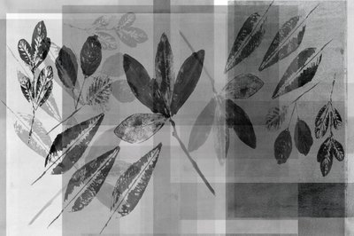 Monochrome Botanical Layers by cartissi