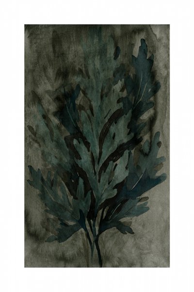 Moody Botanical Leaves by cartissi