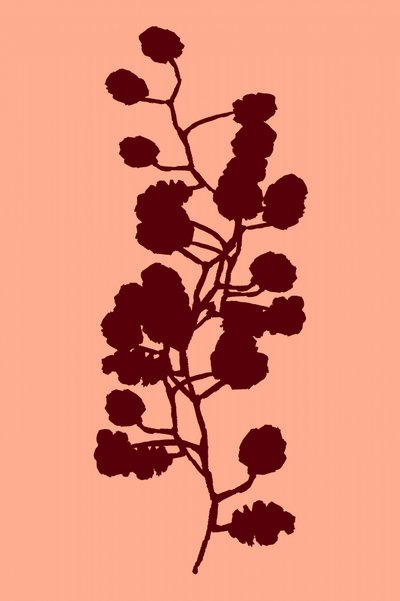 Peach Botanical Silhouette by cartissi