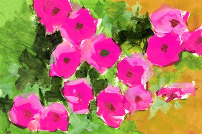 Pink Garden Blooms by cartissi